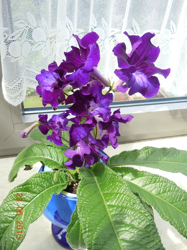 DSCN6936.JPG