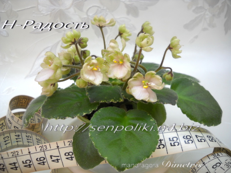 DSCN8003.jpg