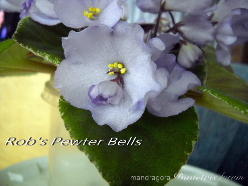 DSCN8089.JPG