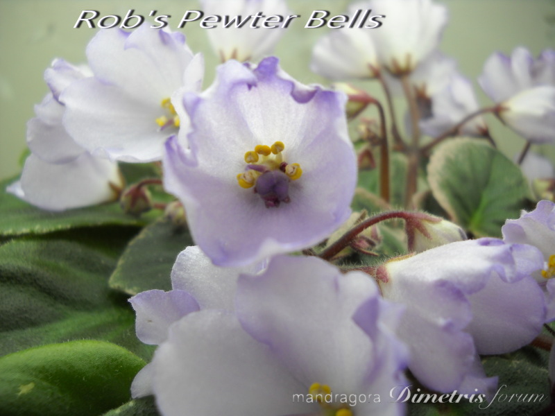 DSCN8091.JPG