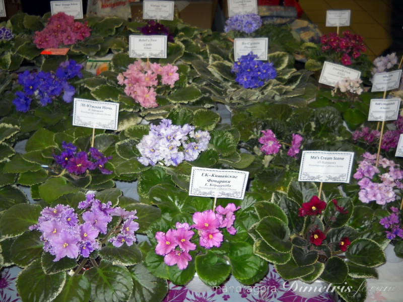DSCN8304.jpg