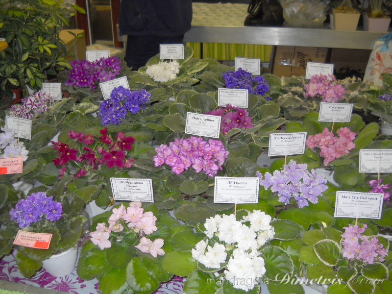 DSCN8307.jpg