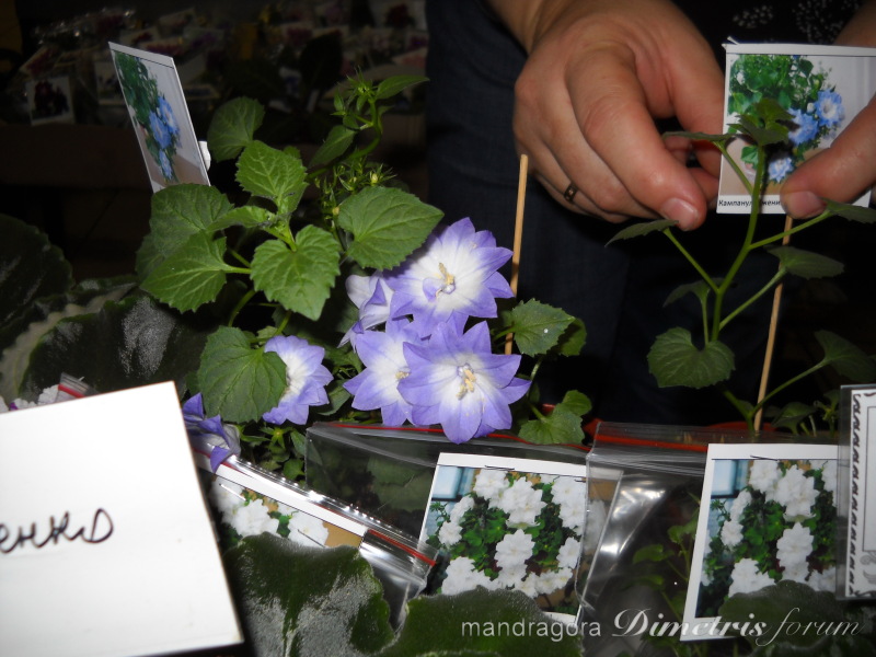 DSCN8318.jpg