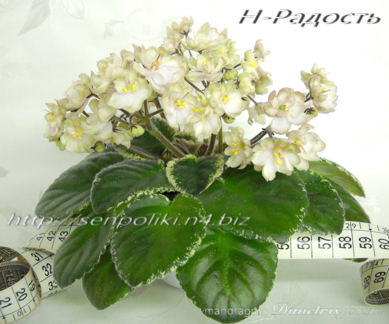 DSCN8950.jpg