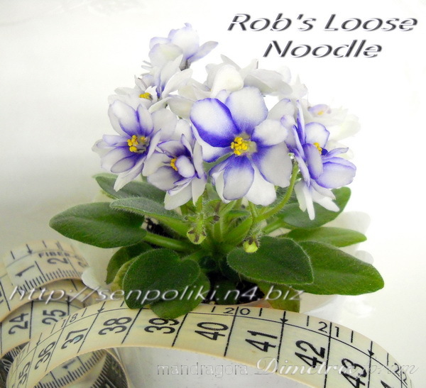 DSCN9215.jpg