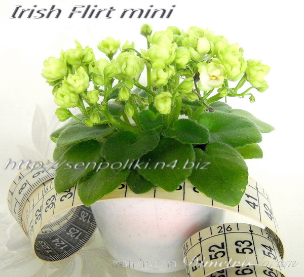 DSCN9226.jpg