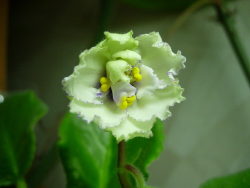 DSCN9600.jpg