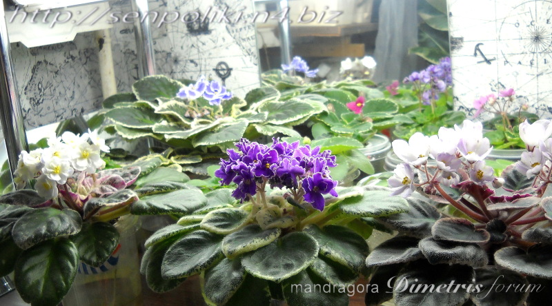 DSCN9710.jpg
