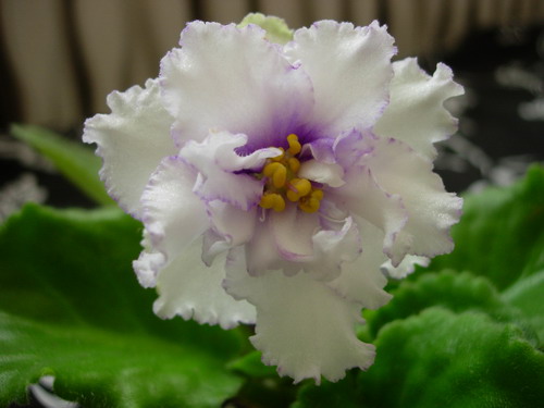DSCN9725.jpg