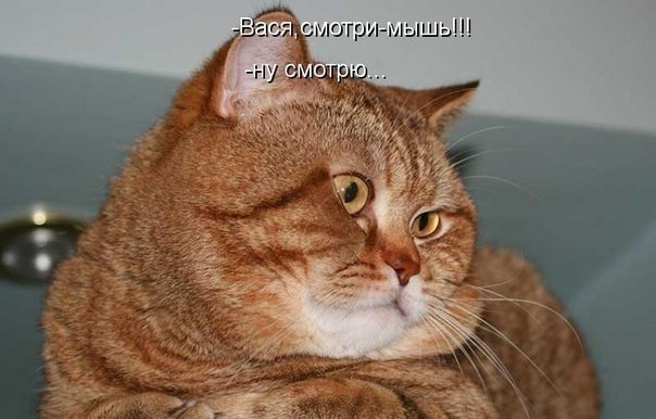 EqfJKVLAIbQ.jpg