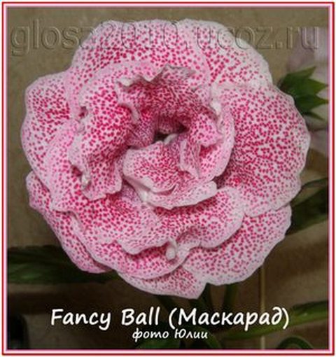 Fancy_Ball2222.jpg