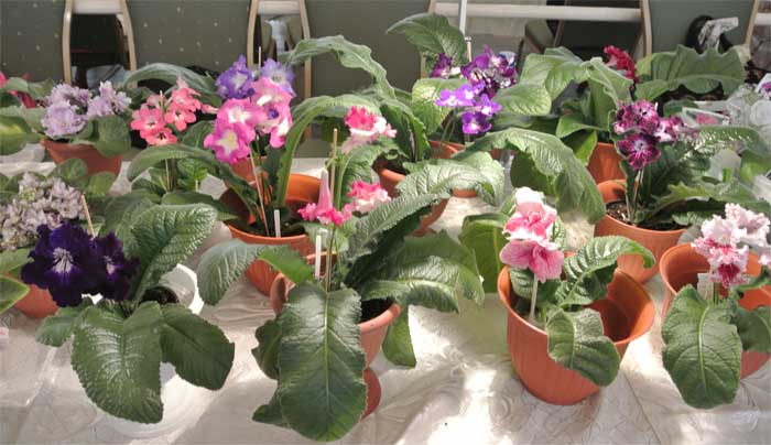 foto3.jpg