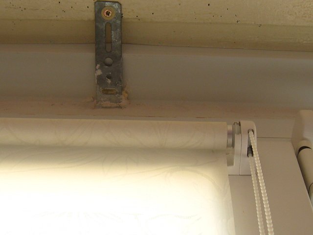 img743.jpg