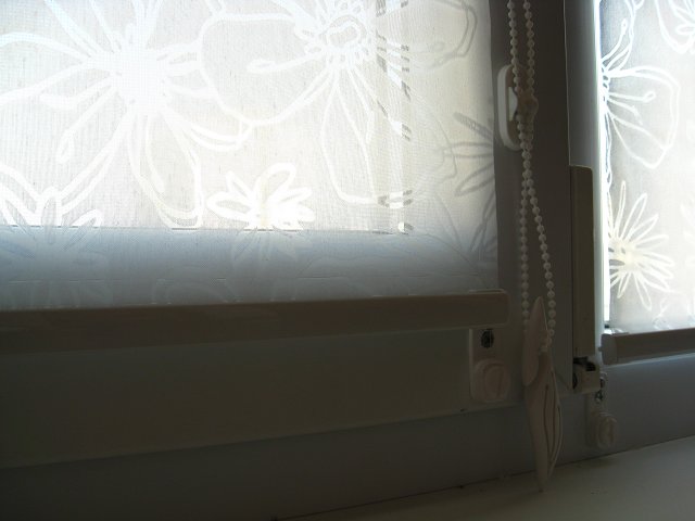 img744.jpg