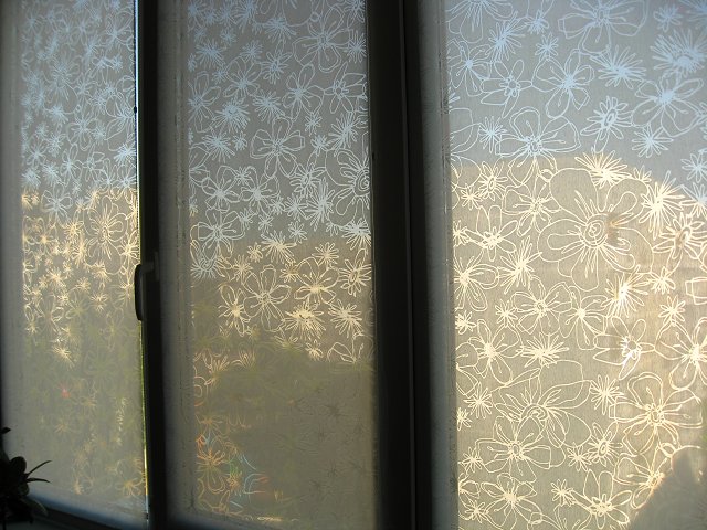 img745.jpg