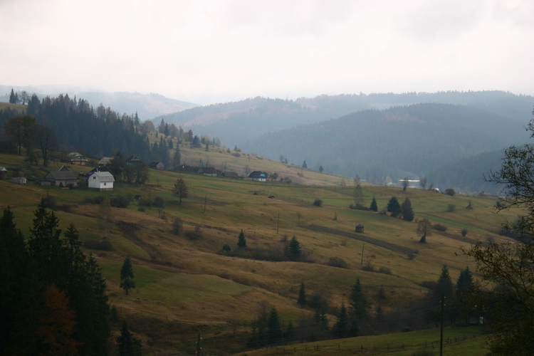 IMG_1736_ .JPG