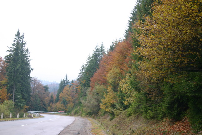 IMG_1741_ .JPG
