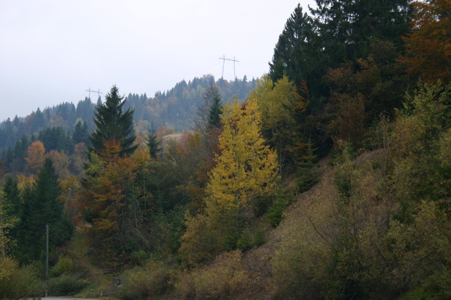 IMG_1744_ .JPG