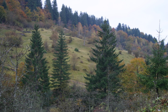 IMG_1745_ .JPG