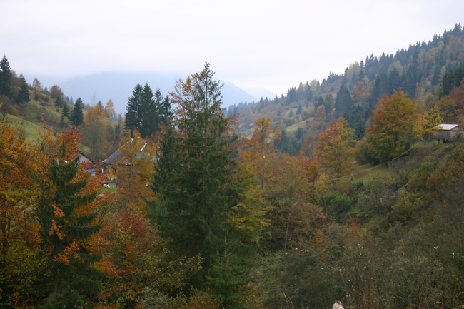 IMG_1749_ .JPG