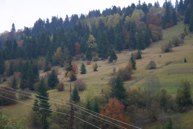 IMG_1756_ .JPG
