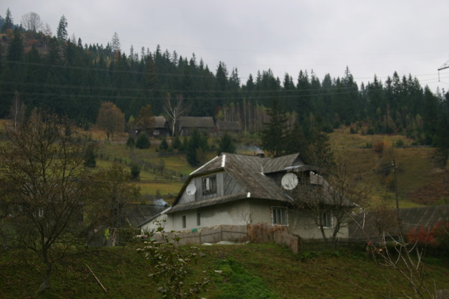IMG_1767_ .JPG
