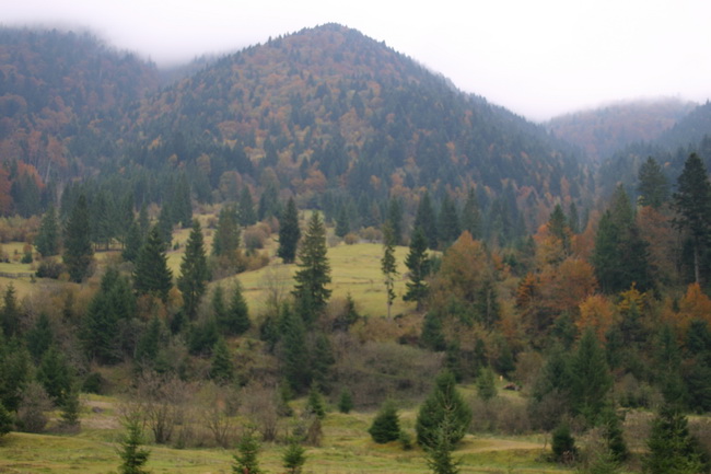 IMG_1774_ .JPG
