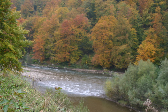 IMG_1809_ .JPG