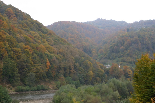 IMG_1811_ .JPG