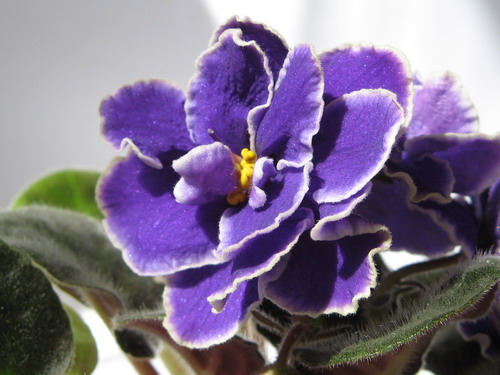 IMG_3206_resize.JPG