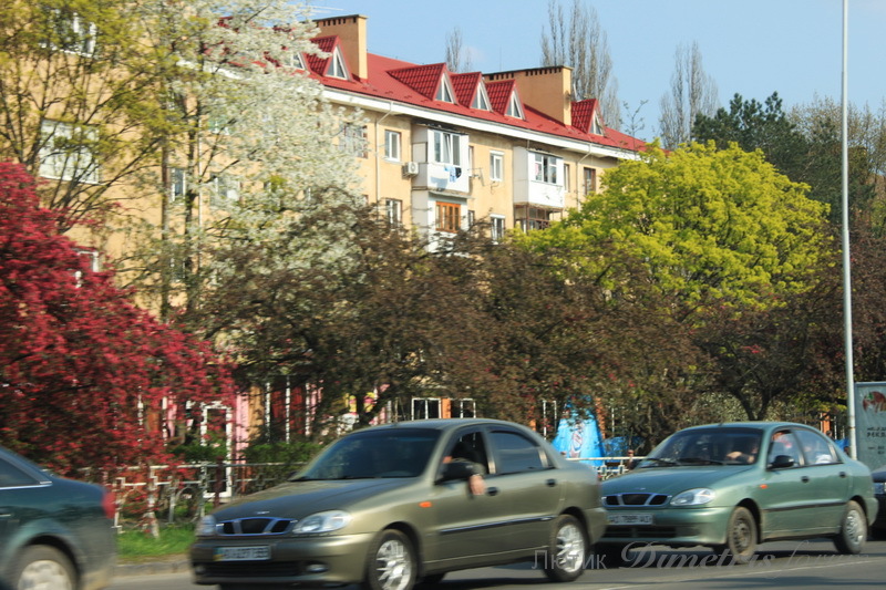 IMG_9842.JPG