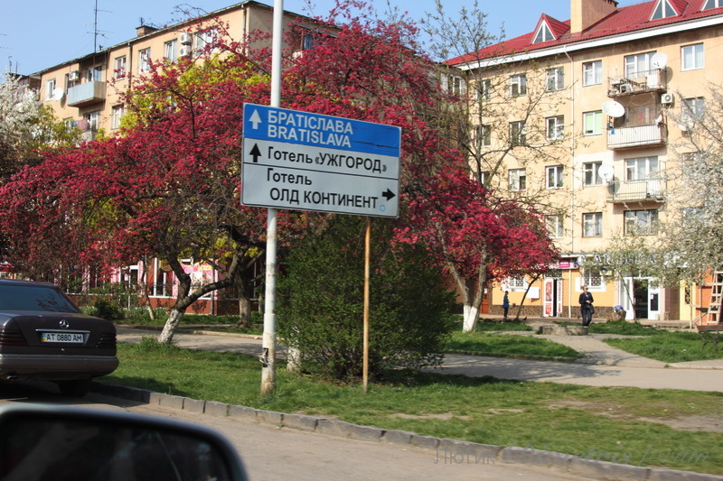 IMG_9862.JPG