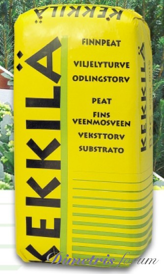 kekkila.jpg