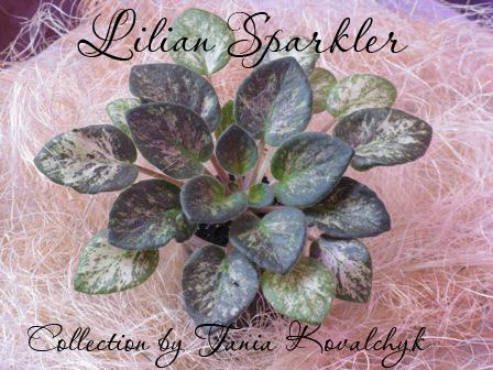 Lilian Sparkler 1.jpg