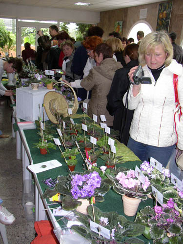 P1010146-.jpg