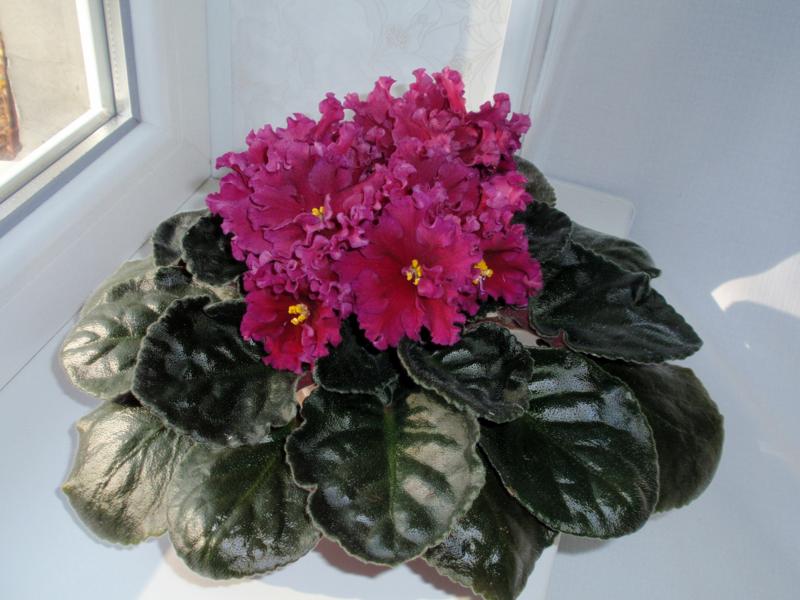 PB082350.JPG