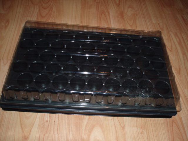PB090258.jpg