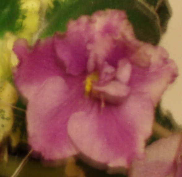 PB300359_1.jpg