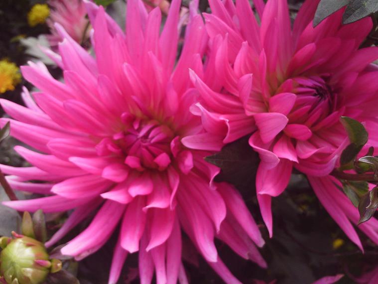 PHOT0377.JPG