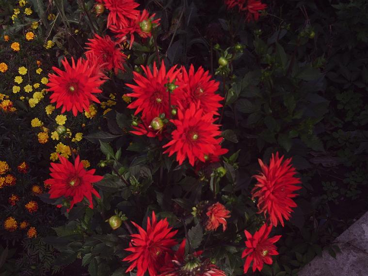 PHOT0383.JPG
