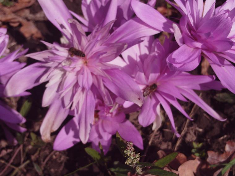 PHOT0480.JPG