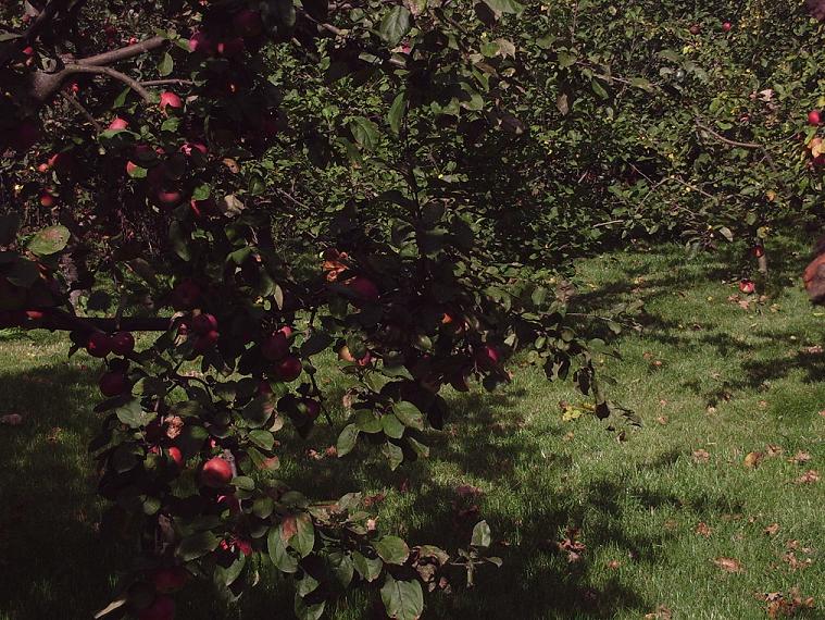 PHOT0484.JPG