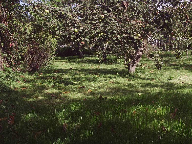 PHOT0492.JPG