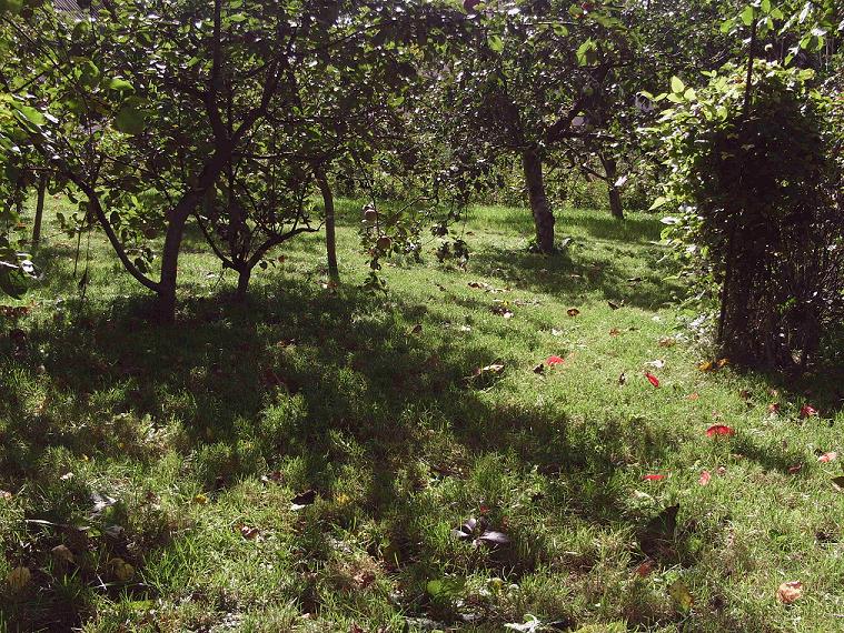 PHOT0494.JPG