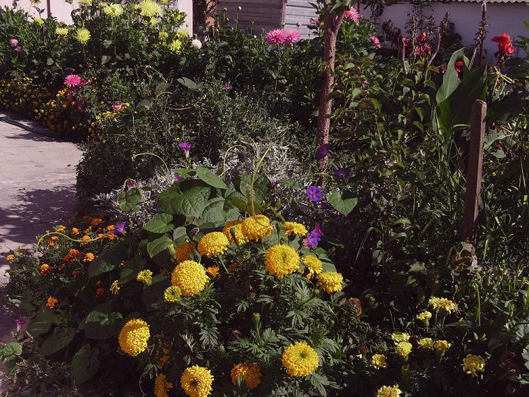 PHOT0530.JPG