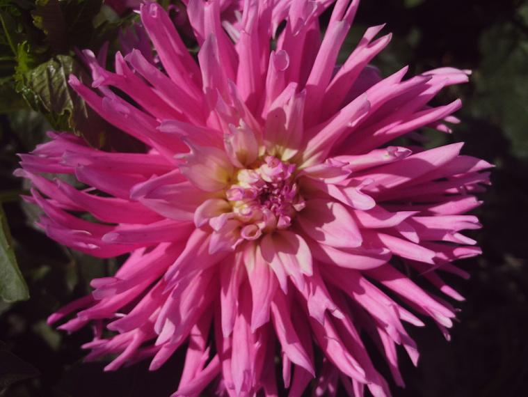 PHOT0548.JPG