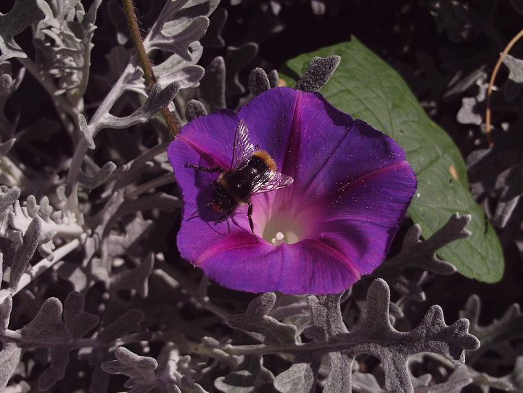 PHOT0554.JPG