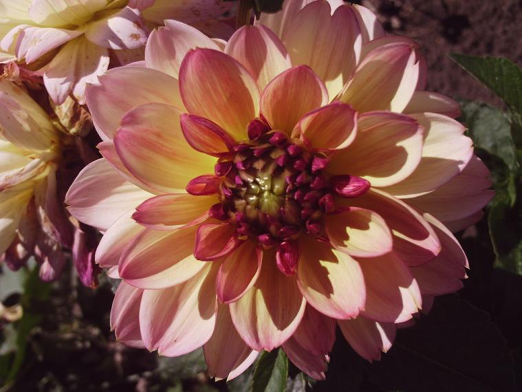 PHOT0565.JPG