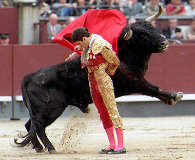 quiero-ser-torero-telemadrid.jpg