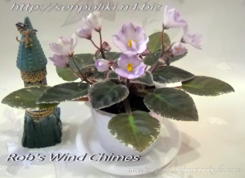 Rob’s Wind Chimes 1.jpg